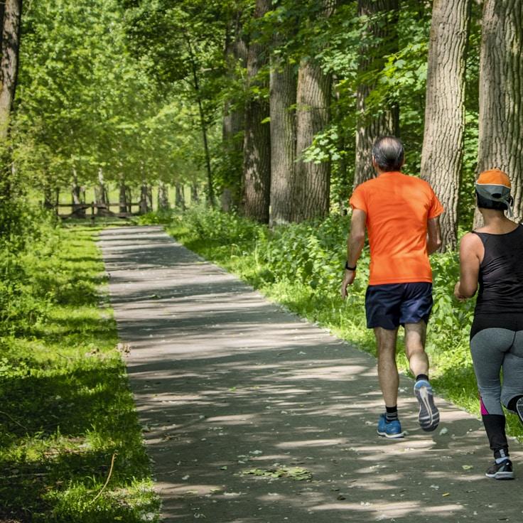 Modern fitness center interior with exercise equipment